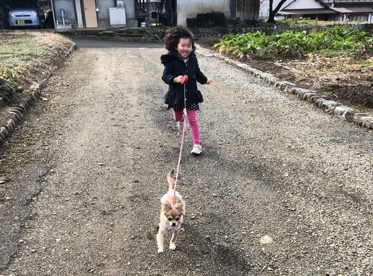 当店の看板犬