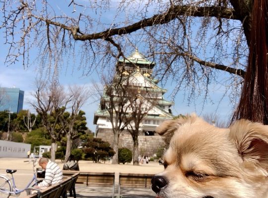 施術風景