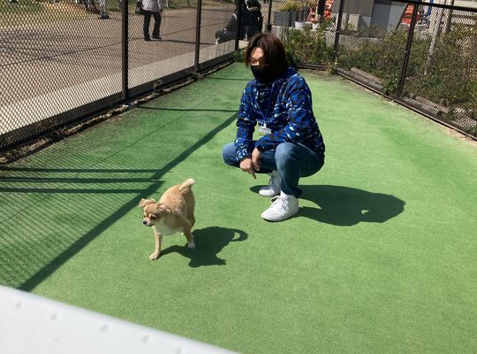 施術風景